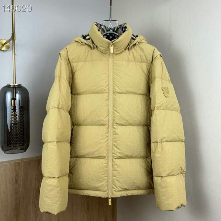 Picture of Burberry Down Jackets _SKUBurberryM-3XL26yr5738001